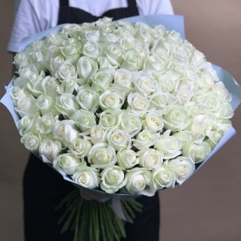 Букет из 101 белой розы (70 см)